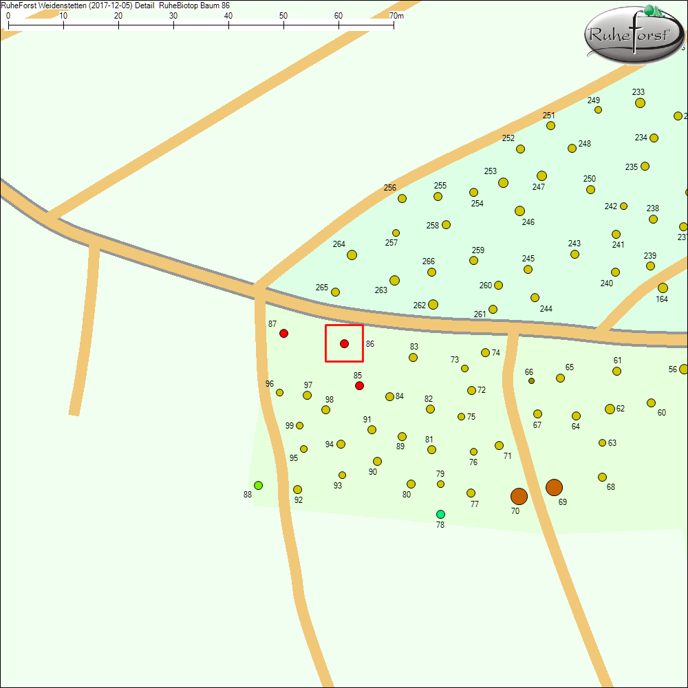 Detailkarte zu Baum 86
