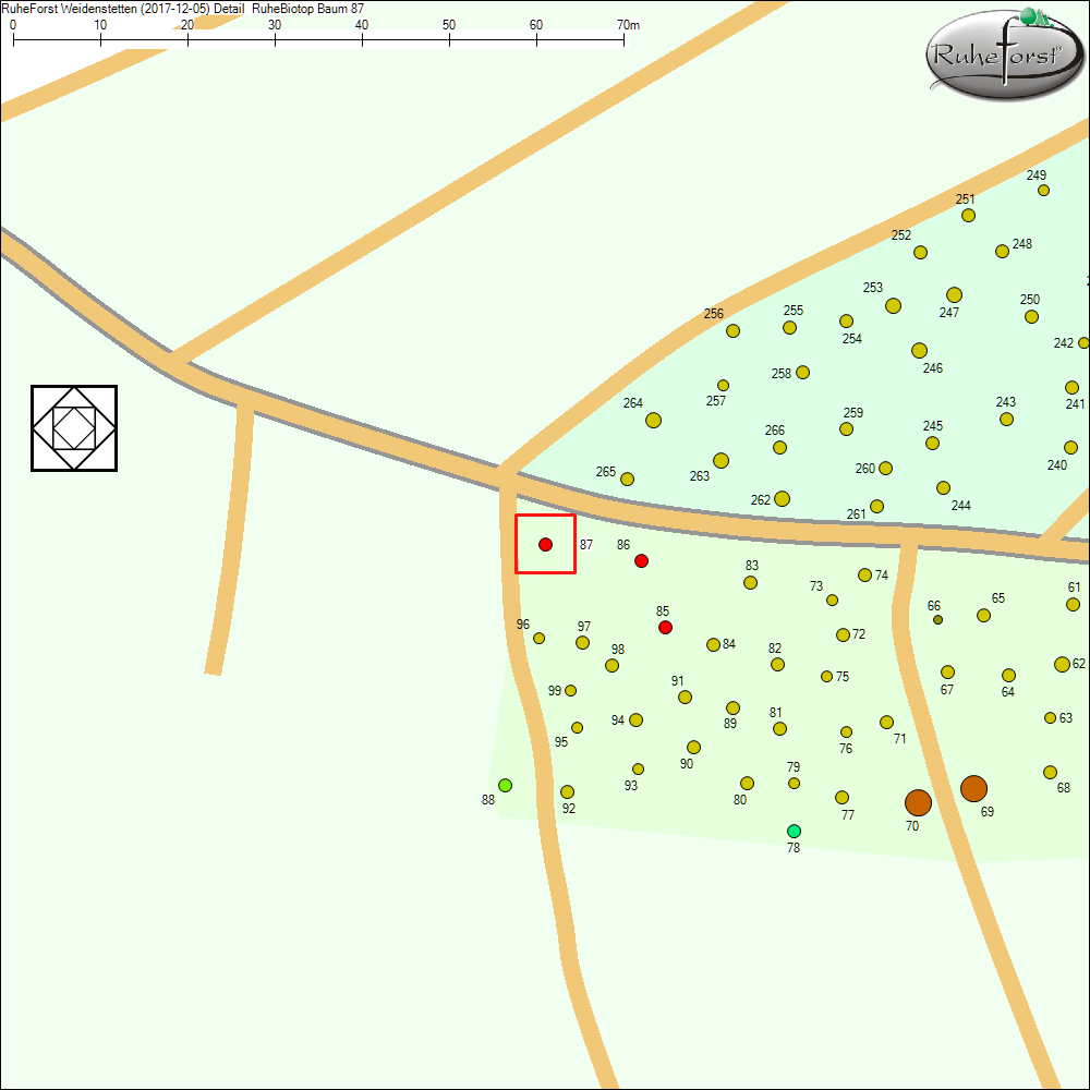 Detailkarte zu Baum 87