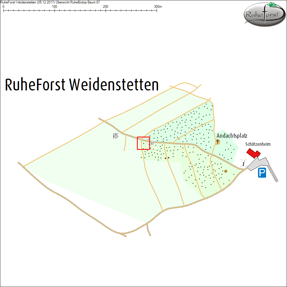 &Uuml;bersichtskarte zu Baum 87