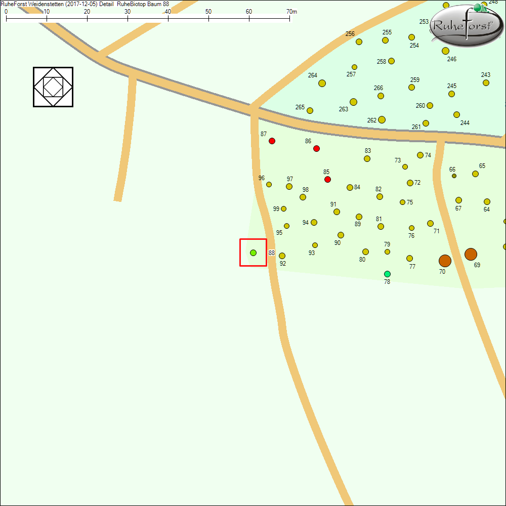 Detailkarte zu Baum 88