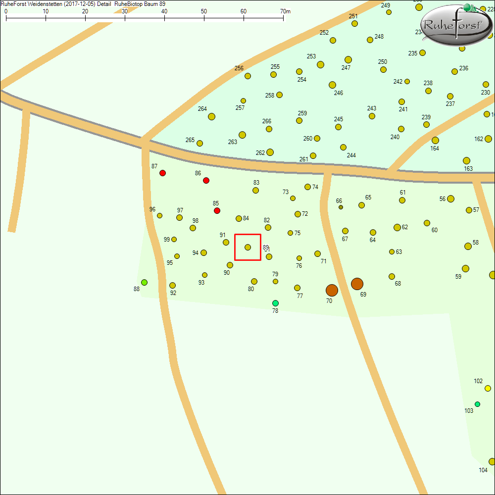Detailkarte zu Baum 89