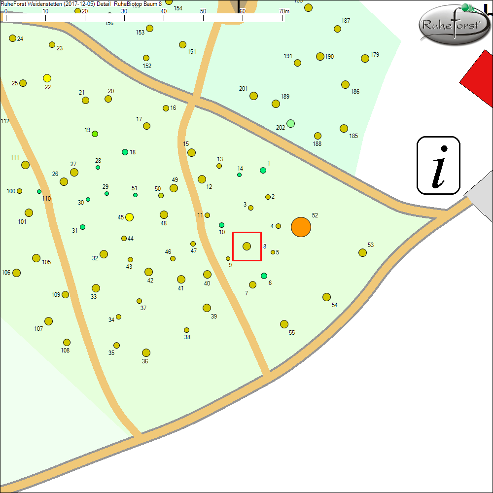 Detailkarte zu Baum 8