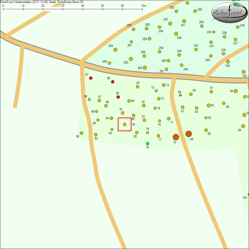 Detailkarte zu Baum 90