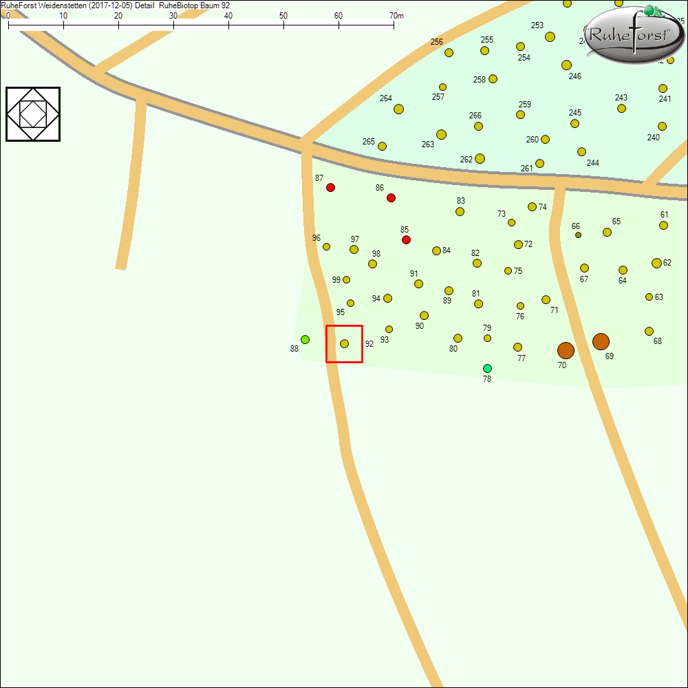 Detailkarte zu Baum 92