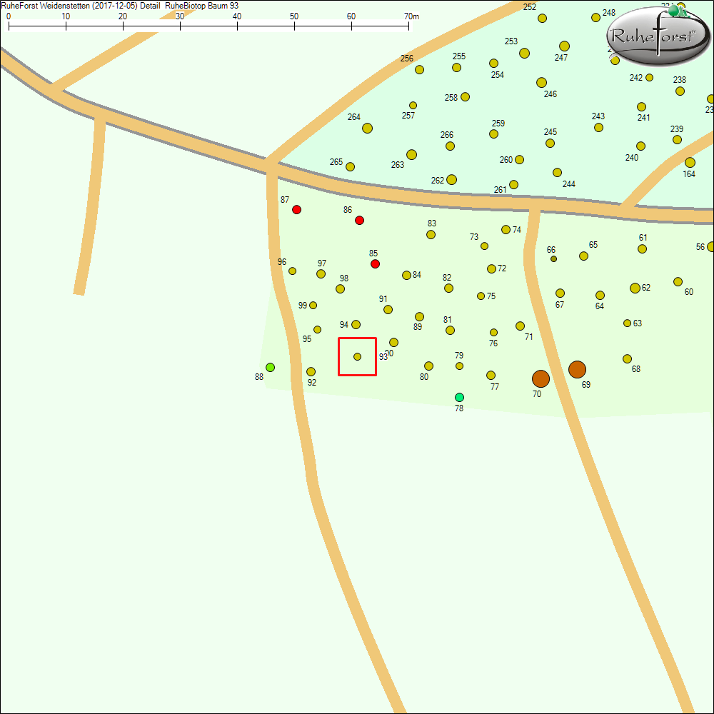 Detailkarte zu Baum 93