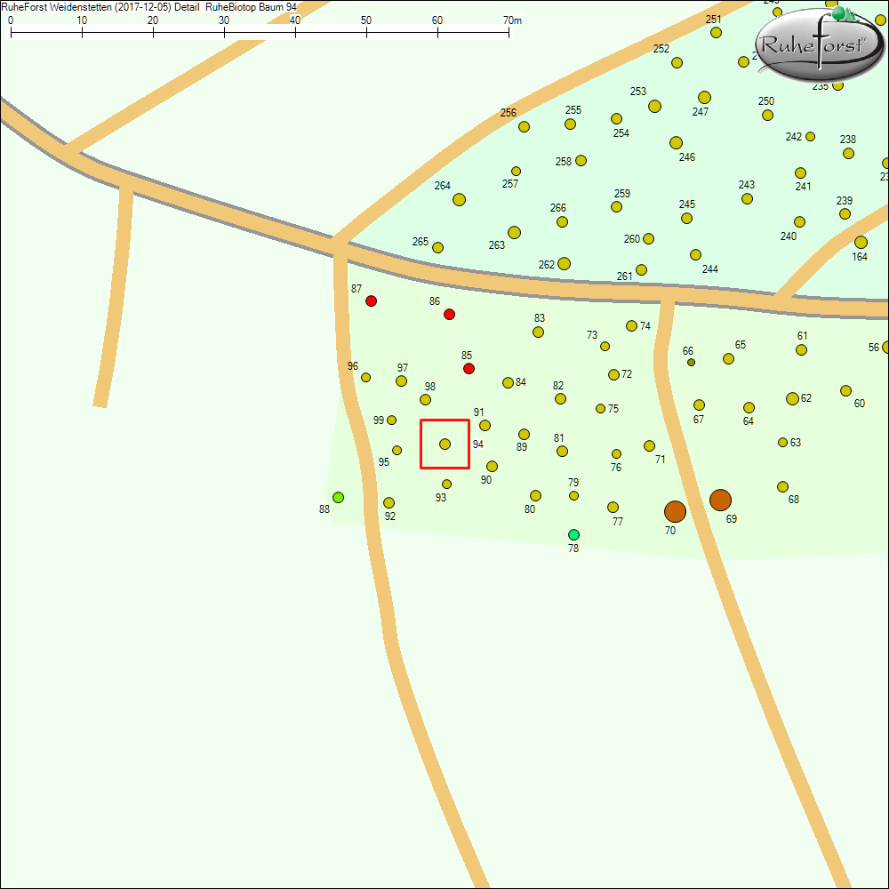 Detailkarte zu Baum 94