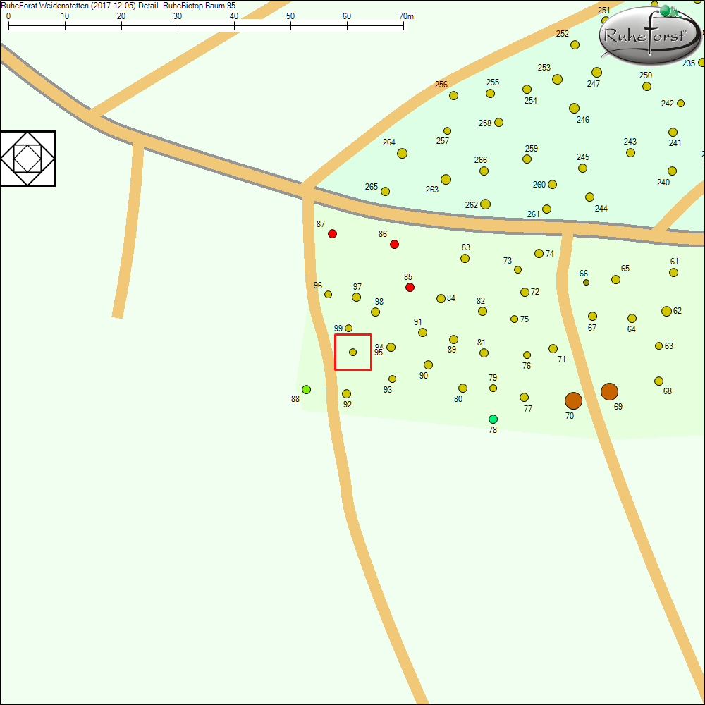 Detailkarte zu Baum 95