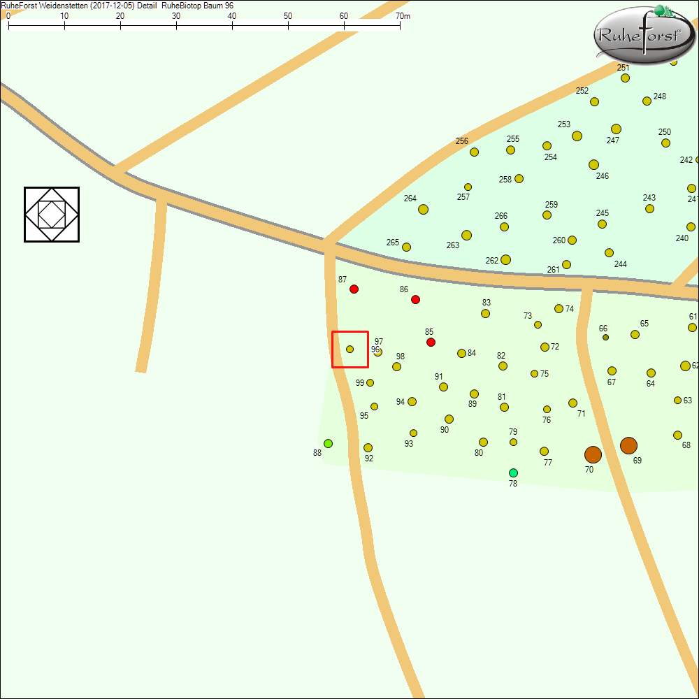 Detailkarte zu Baum 96