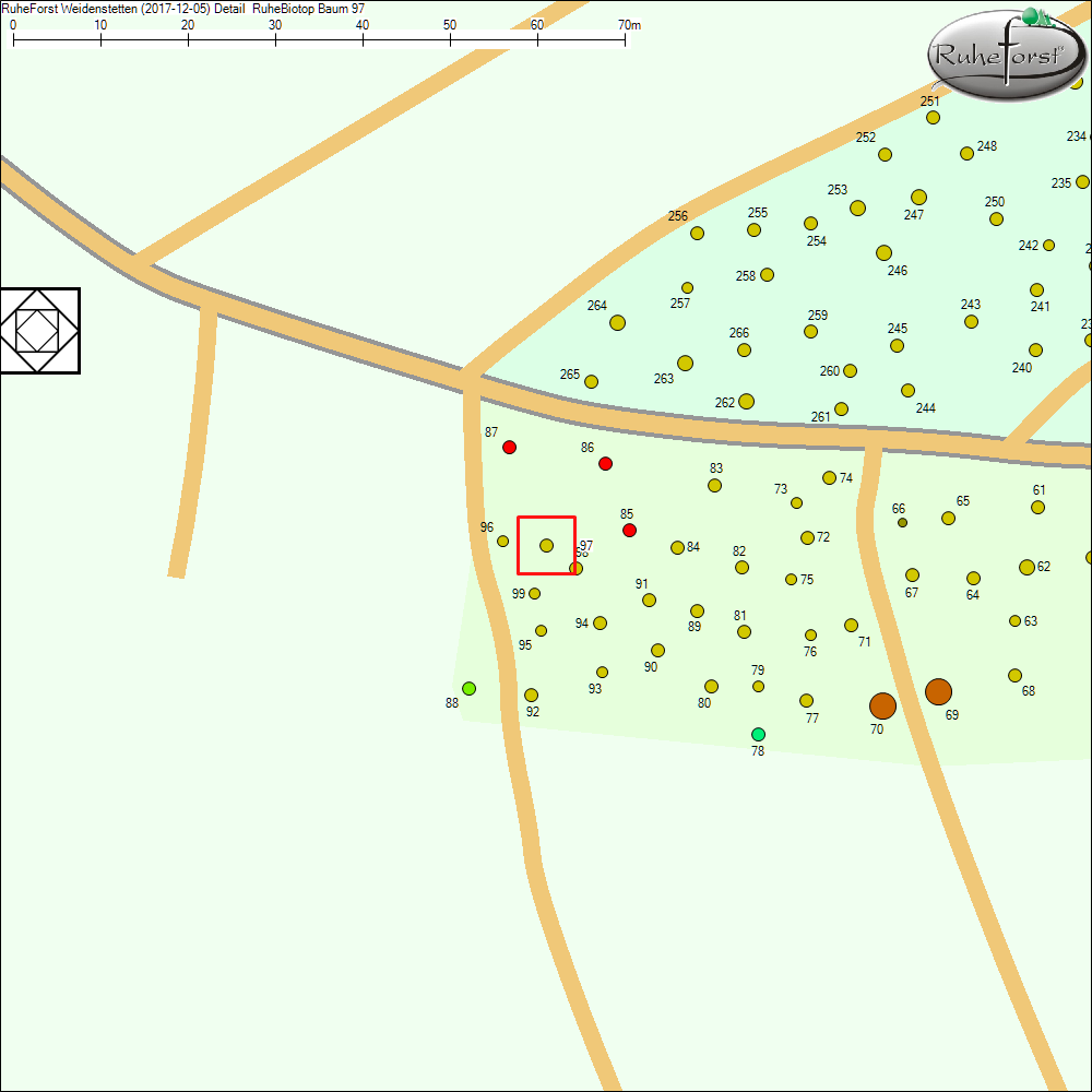Detailkarte zu Baum 97