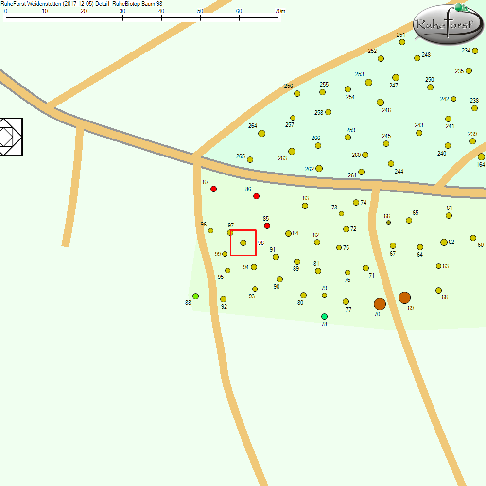 Detailkarte zu Baum 98