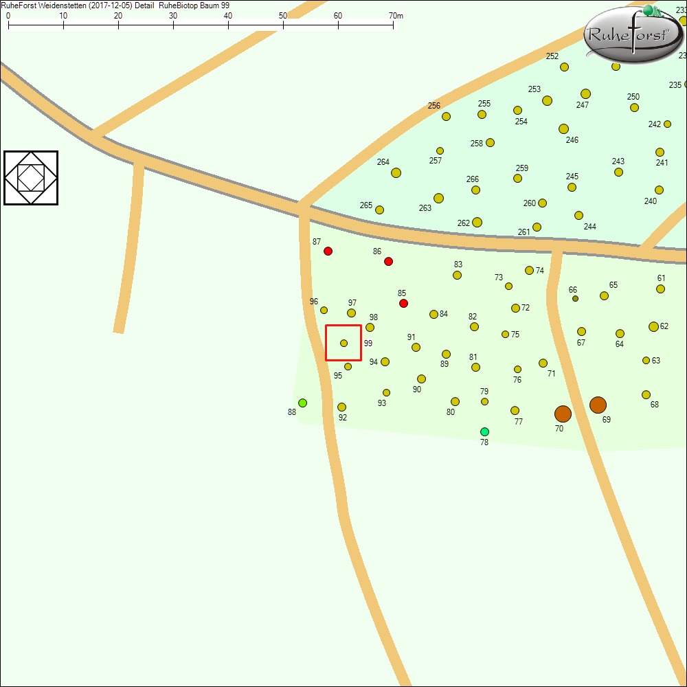 Detailkarte zu Baum 99