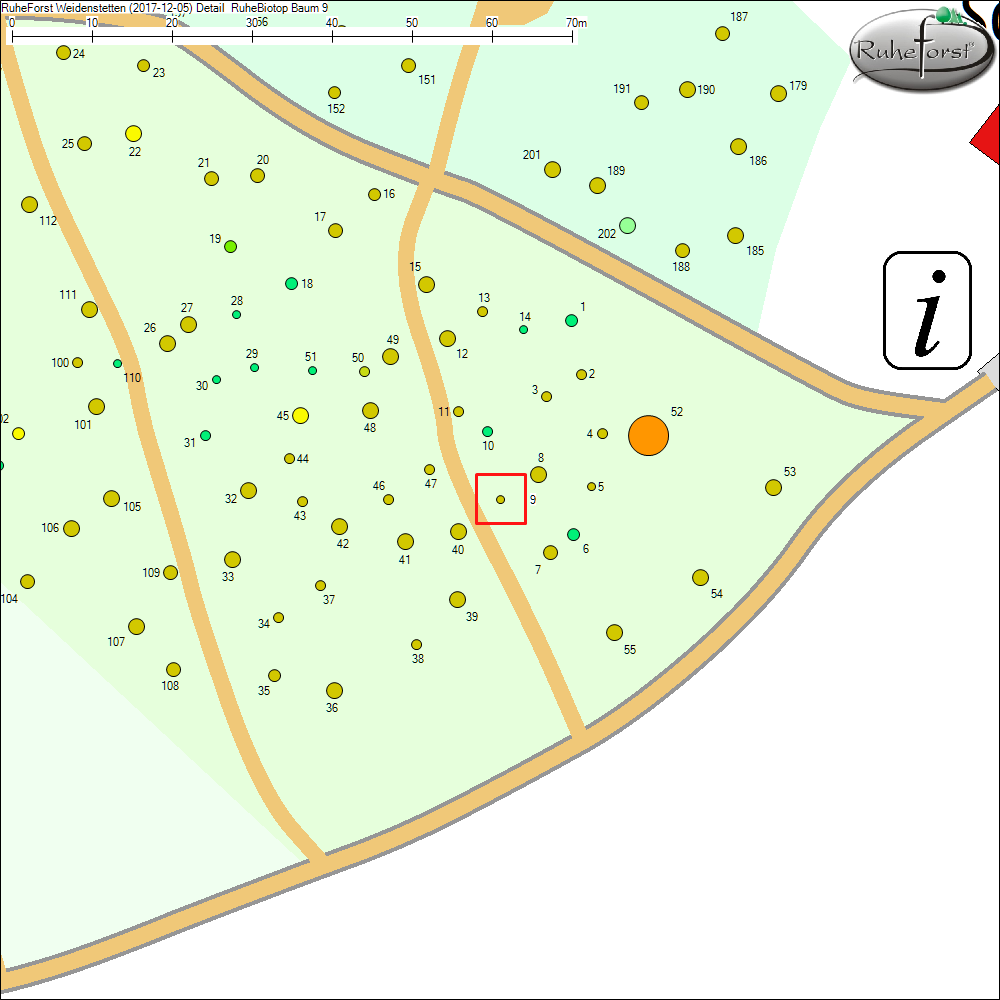 Detailkarte zu Baum 9