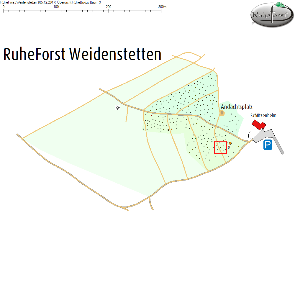 &Uuml;bersichtskarte zu Baum 9